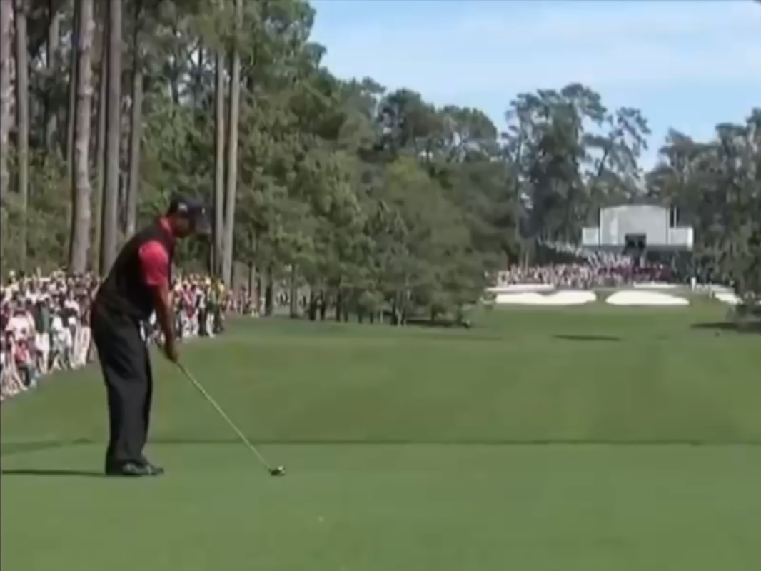 Tiger Woods Golfing